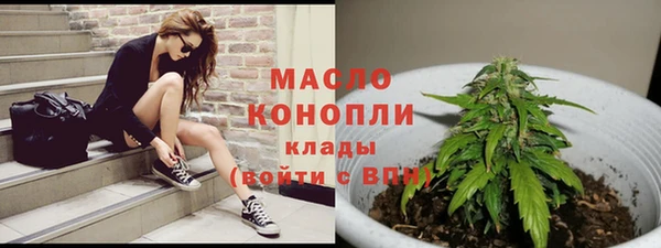 mdpv Снежногорск