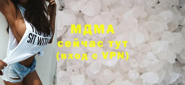 шишки Слюдянка