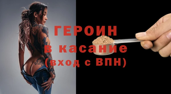 шишки Слюдянка