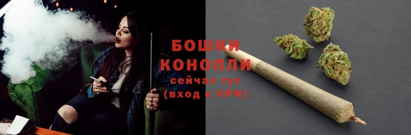 шишки Слюдянка