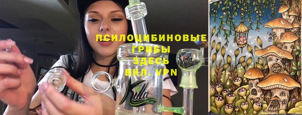 крисы Снежинск