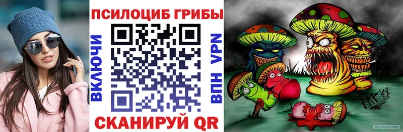 Галлюциногенные грибы Cubensis  Кстово 